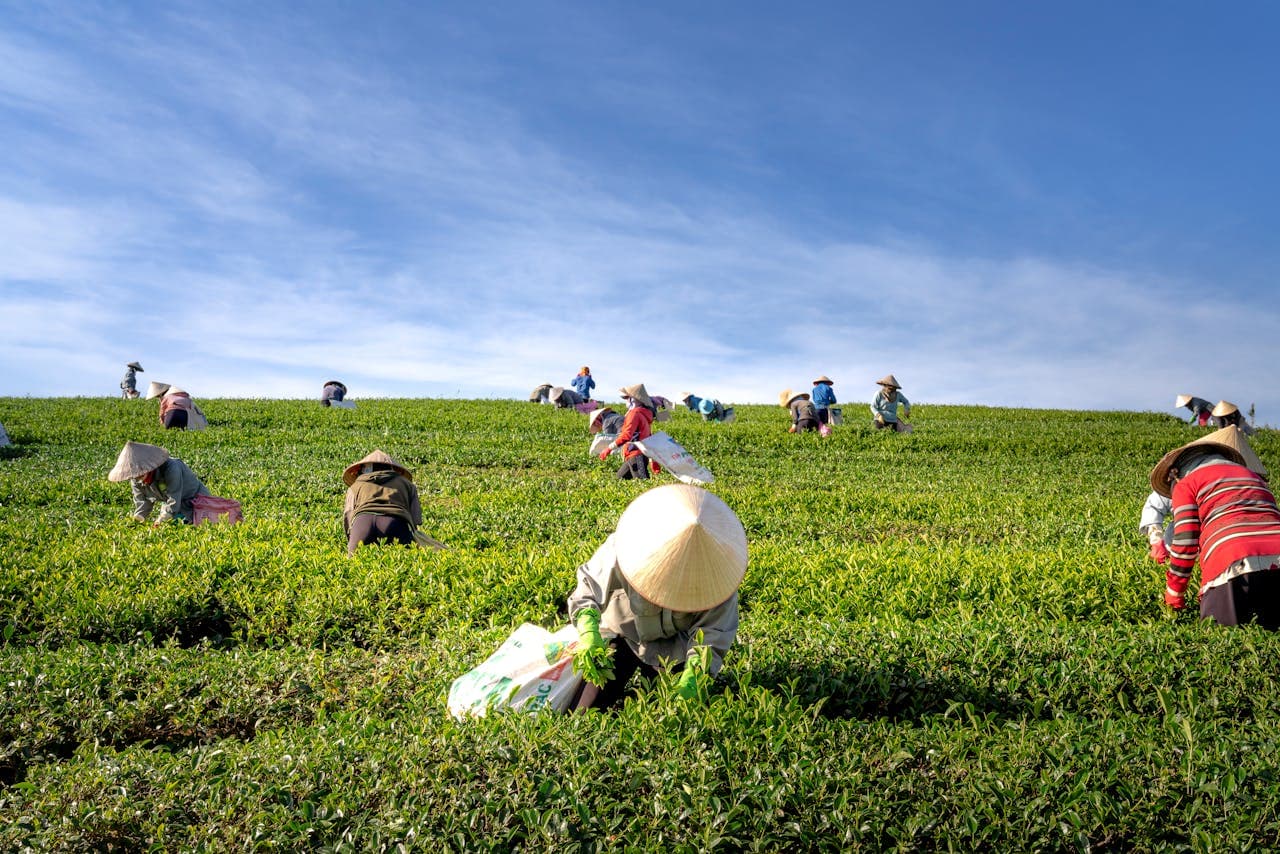 Sustainable Farming & Agriculture